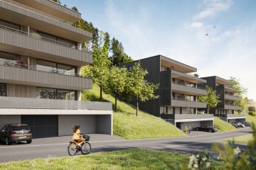 Traumhafte Penthouse-Wohnung mit Blick in die Schweizer Berge, 6835 Zwischenwasser / Muntlix